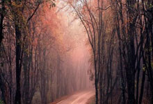 奇异果体育：卡拉布里亚：我想要留在博洛尼亚，希望拿意杯冠军并参加欧冠.