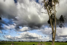 奇异果体育：就要打上海！广东队迎来“加强版洛夫顿”，力保杜锋躺进总决赛？.