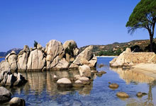 奇异果体育:山东泰山挑战梅州客家:郑铮领衔5位王牌外援,4名国脚替补待命.